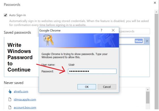 Chrome Password Manager Settings