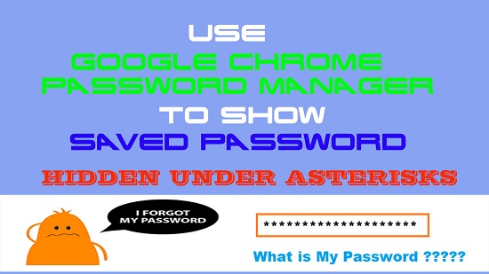 Use Google Chrome Password Manager to show Saved Password Hidden under asterisks