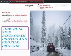 view full size instagram photos and profile picture